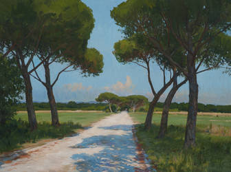 The Beach Road at Bolgheri