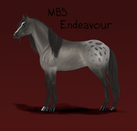 MBS Endeavour by Minging