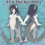 Personnal- Tea the sea otter