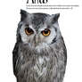 Owl Stock