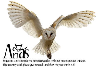 Owl2 by AriaNigthly
