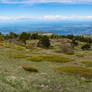 Mont Ventoux #1