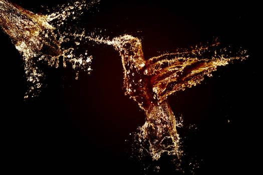 My Water splash bird photoshop !!