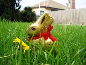 Easter Bunny :) by diamonddew123