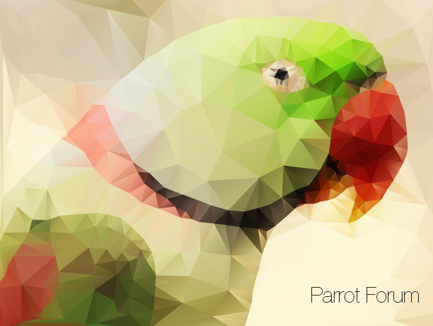 Parrot Low poly