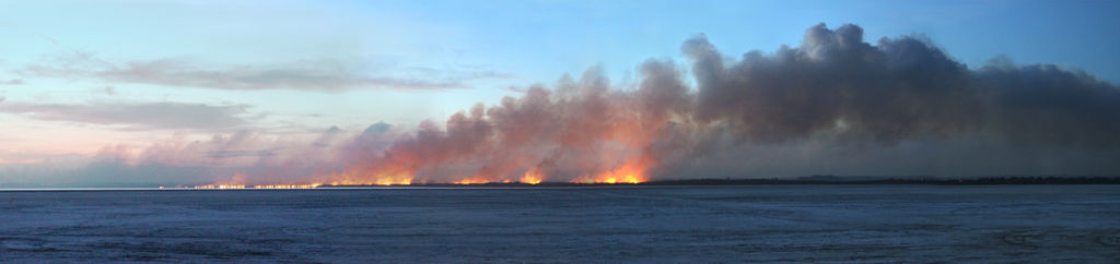 Bushfire 1
