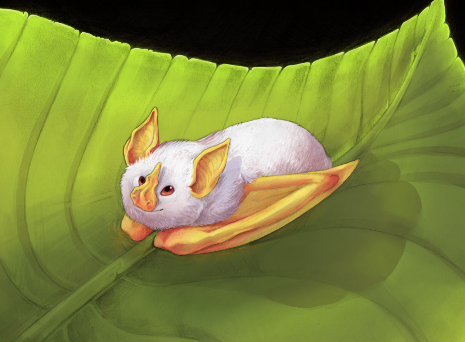 Honduran White Bat