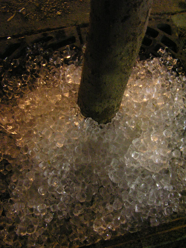 Iced Root Iced Roots by NatShee on DeviantArt