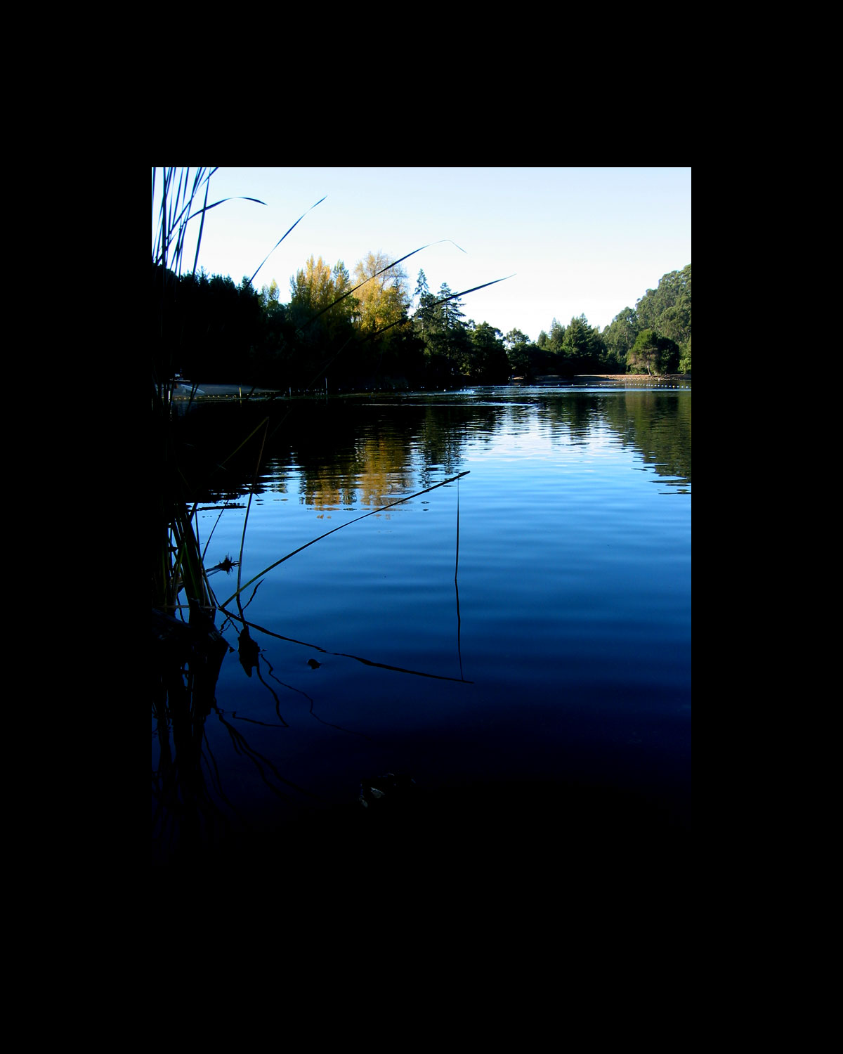 Nature is a Fisherman.