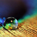 sparkling light I. by llovelace
