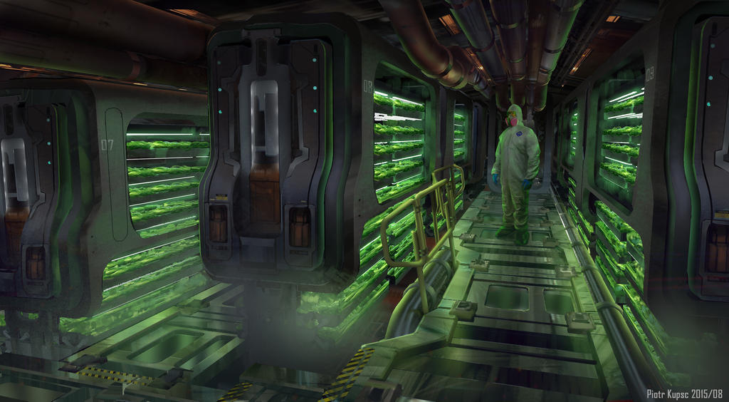 Plantation Chamber by St-Pete