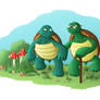 Old Turtles