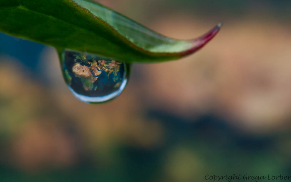 Our little blue planet