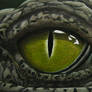 Crocodile Eye