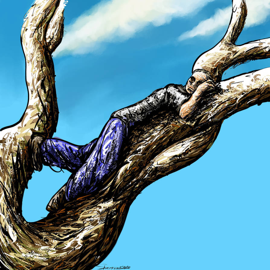 Drawing Siesta The Siesta by Drawlight on DeviantArt