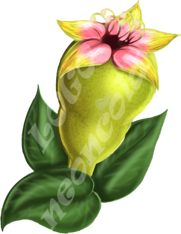 Pear Logo