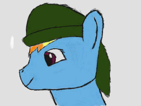 Rainbow Dash Stole Link's Hat