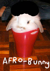 Afro-bunny