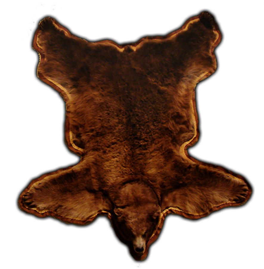 Bear skin rug Png by DoloresMinette on DeviantArt