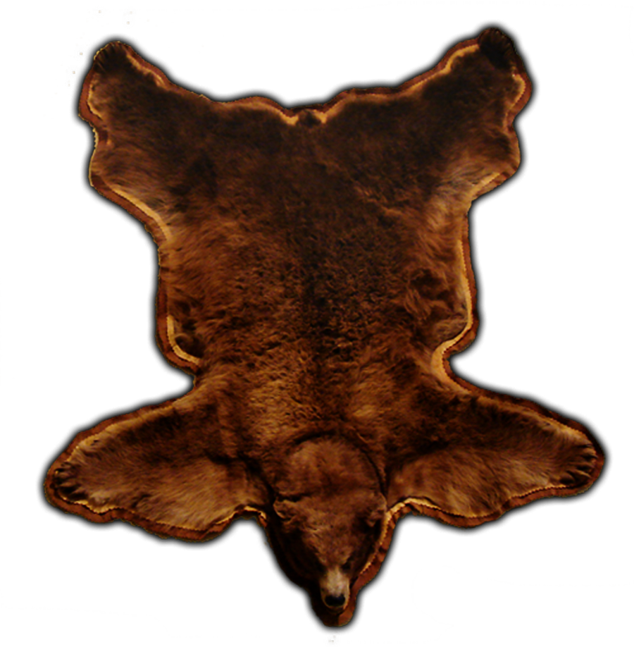Bear skin rug Png by DoloresMinette on DeviantArt