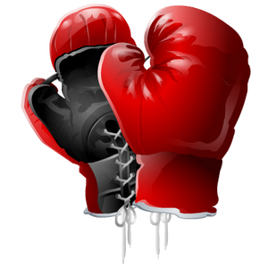 Boxing Gloves PNG