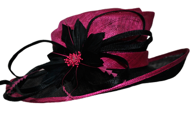 Fancy Pink hat