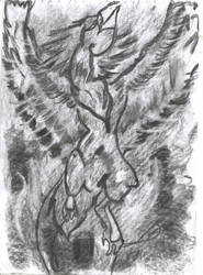 Charcoal-Phoenix