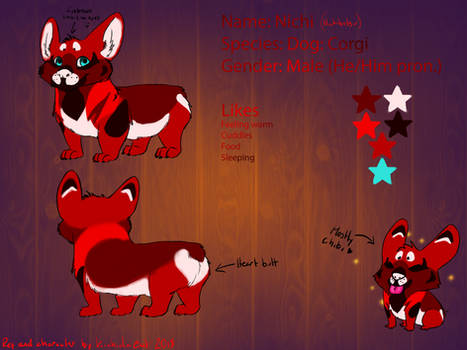 Ref sheet for Nichi