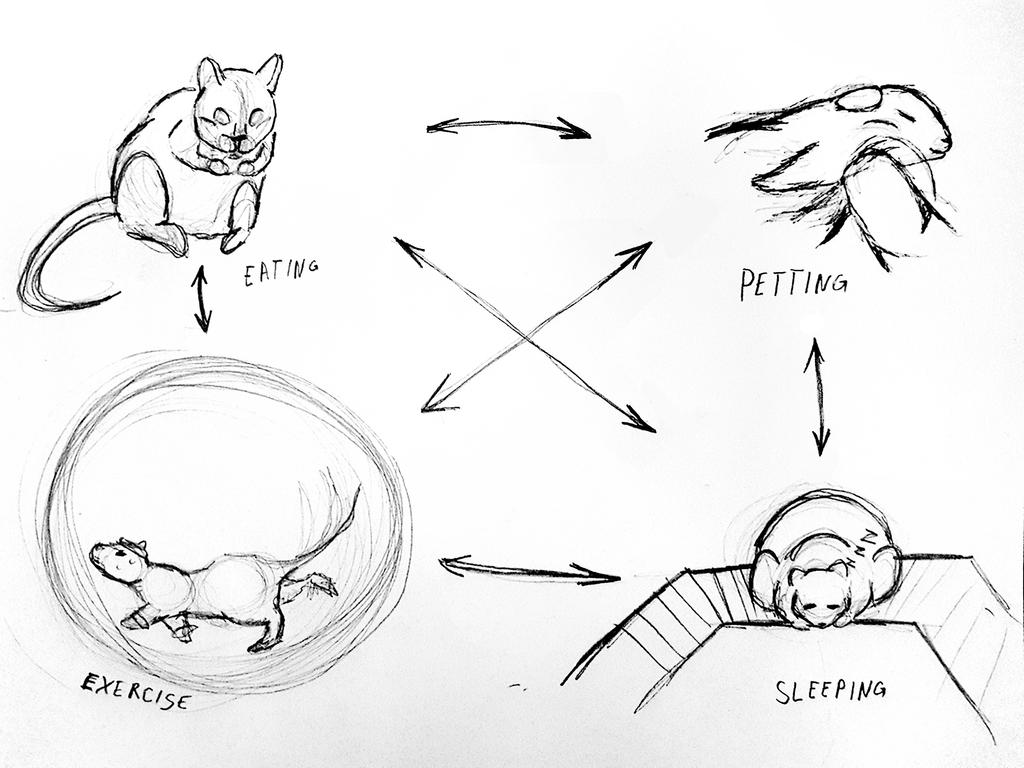 A Rat Routine Daily Routine of a Pet Rat by CrosslineAnimator on DeviantArt