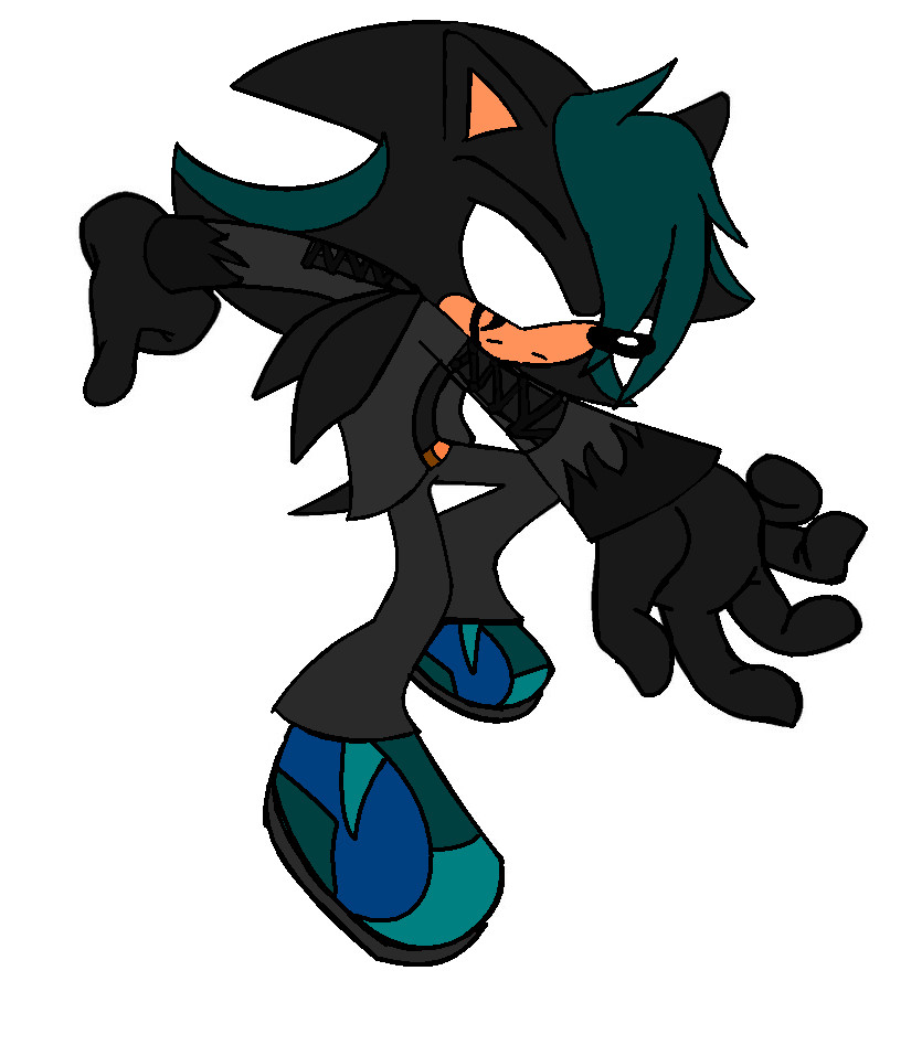 Noir the Hedgehog