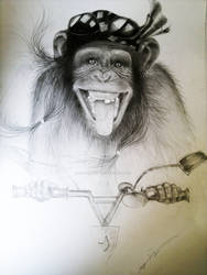 monkey