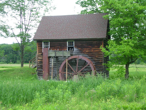 The Mill In The Meadow