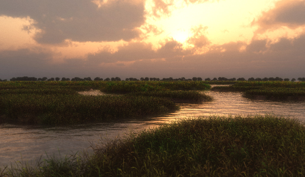 Meandering Marsh