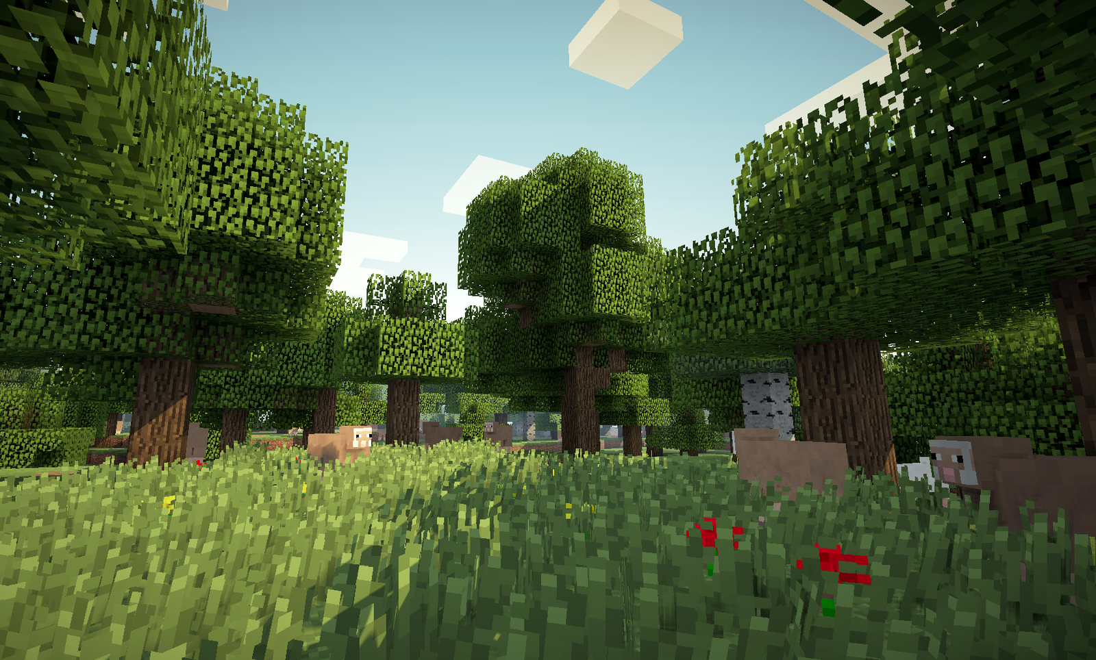 Afternoon Forest by AziasCreations