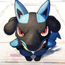 Front facing Lucario is real.