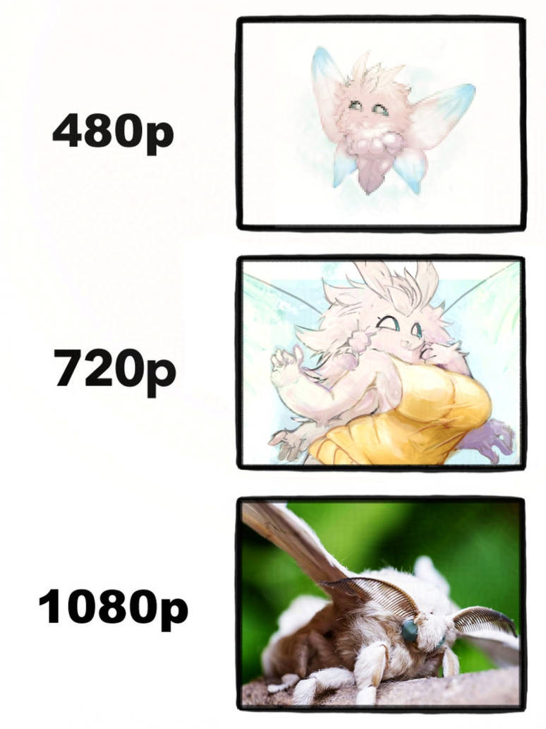 Moth 404 Moth Resolution by Thwill on DeviantArt