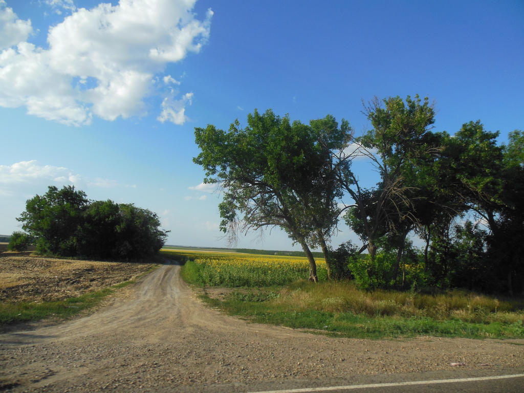 The Nature of Kuban: Another road