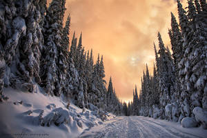 Elemental by JaclynTanemura Elemental by JaclynTanemura