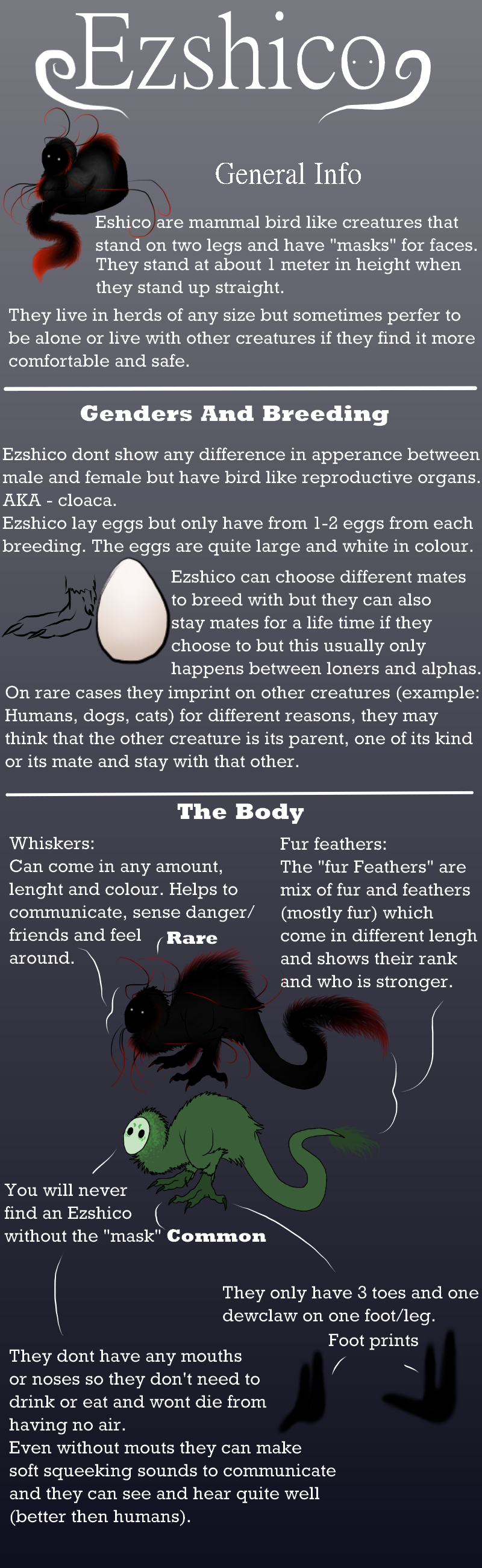 Ezshico - Info Sheet