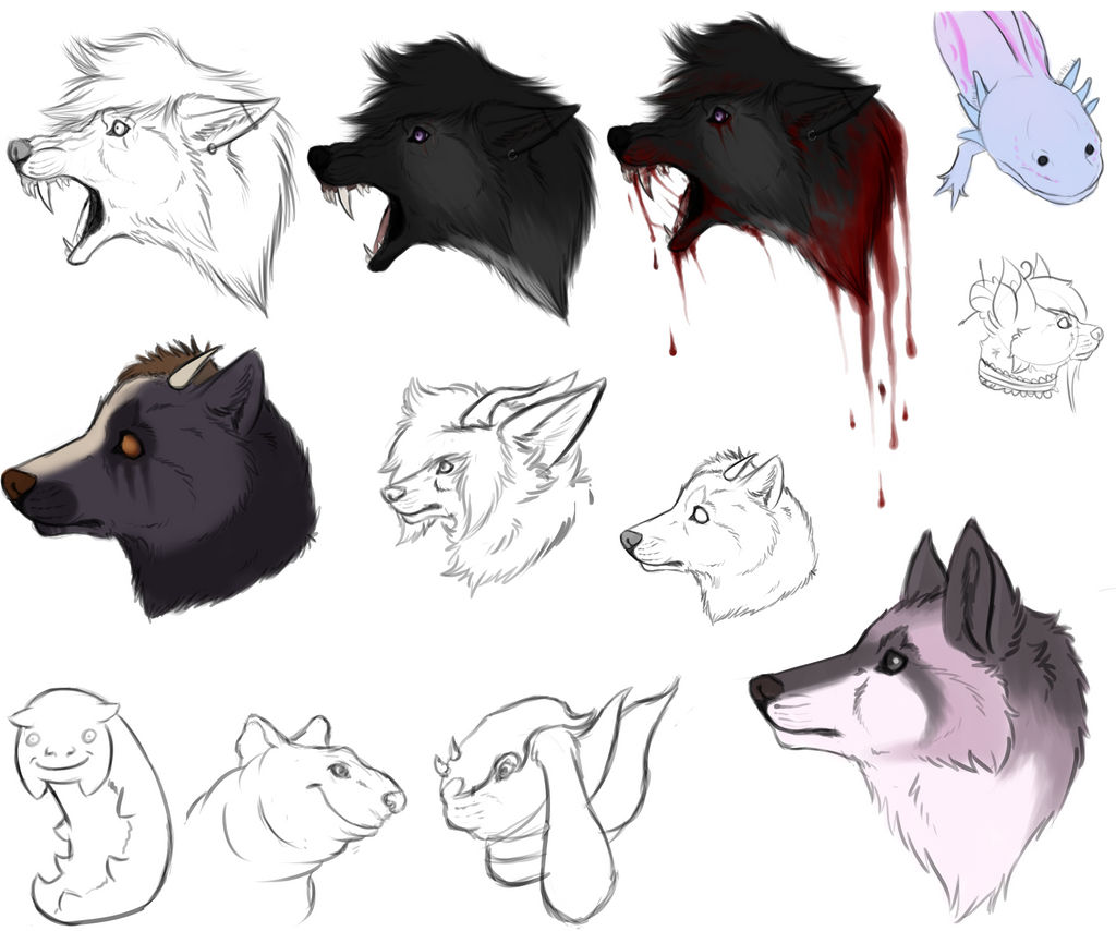 Recent Sketches