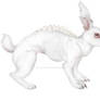 BunBun