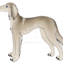 Saluki Character