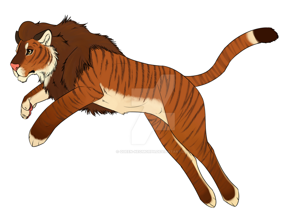 SeaTiger - Com