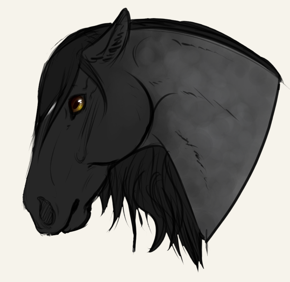 Sketch