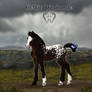 Celtic Warlander - NLS Tundra Snowstrom