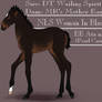 NLS Woman In Black - Zlesdin Foal Design
