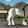 NLS Chime Maiden - Celtic Warlander Mare