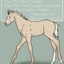 NLS Dauntless Melehan - Zlesdin Foal Design