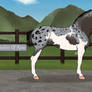 NLS Duchess Of Roses - Russkaya Mare