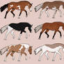 Cheap Horse Adopts - Set 3 - 1/6 OPEN